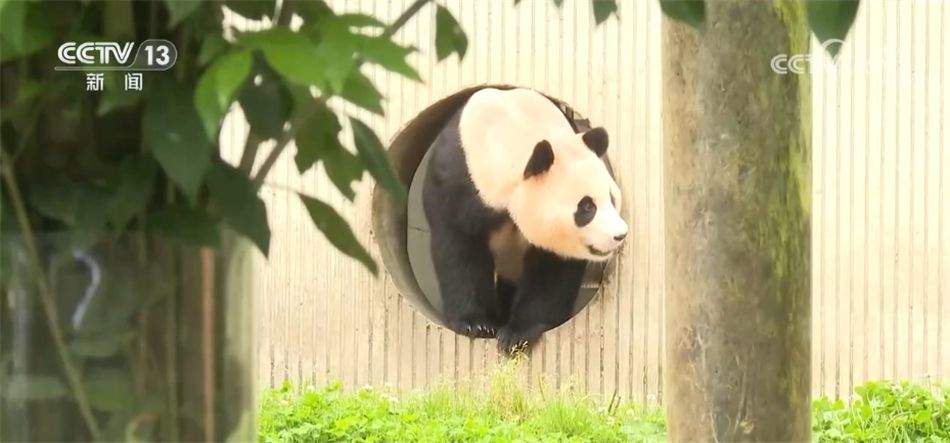 长线游、避暑游、亲子研学游、出入境游……“暑期游”热潮火爆来袭