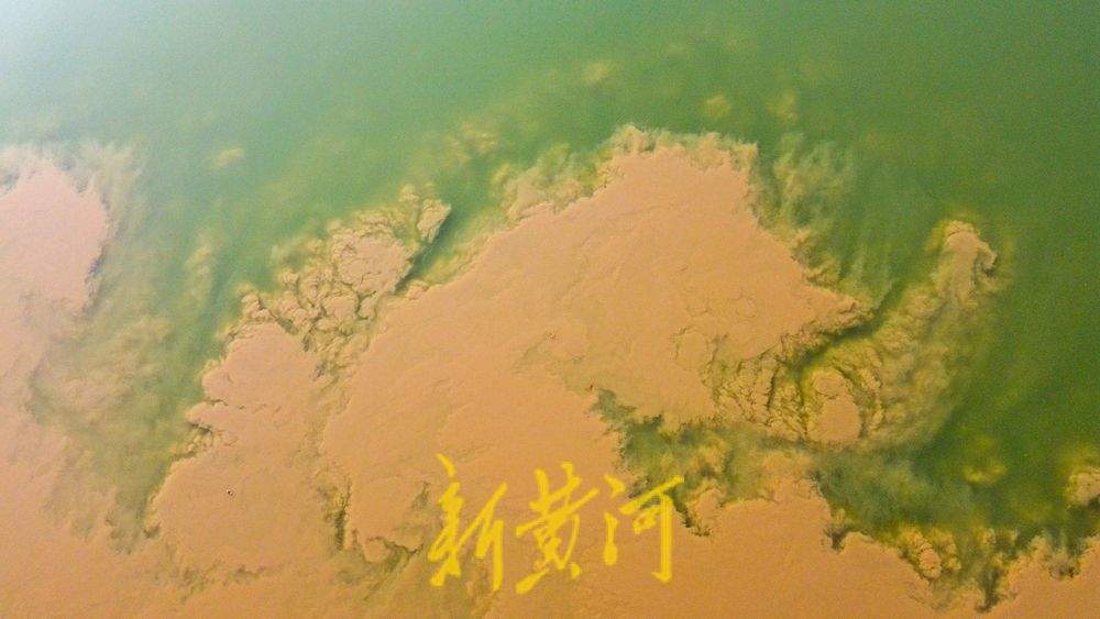 黄河水由浊变清，济南玉清湖水库沉砂池现黄绿交融壮美画卷