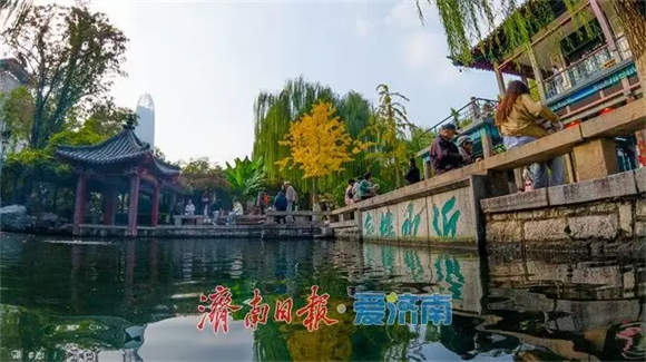 如何找到中日产业合作切入点,济南市长这么说