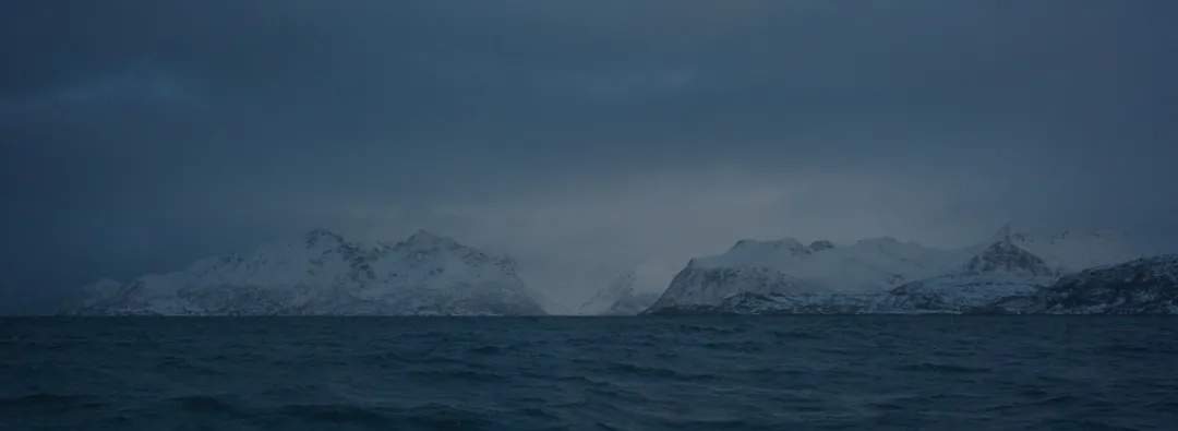 火爆全网的“派大星”博士，找到啦！