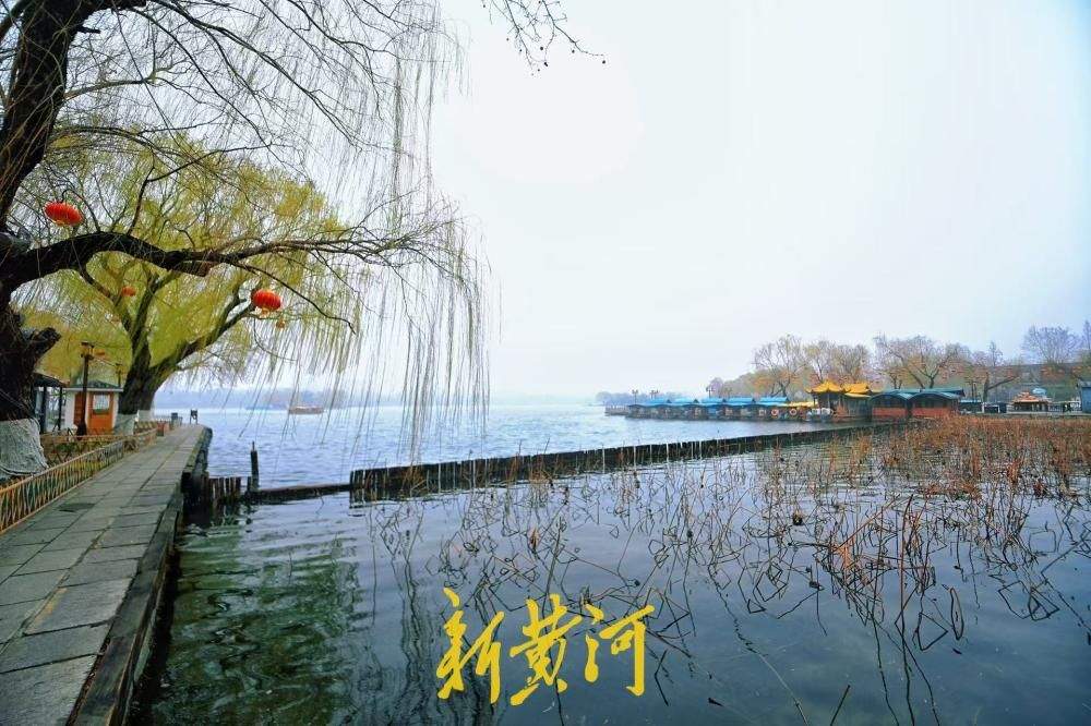 湖畔嫩柳吐新芽 绘就泉城初春画卷