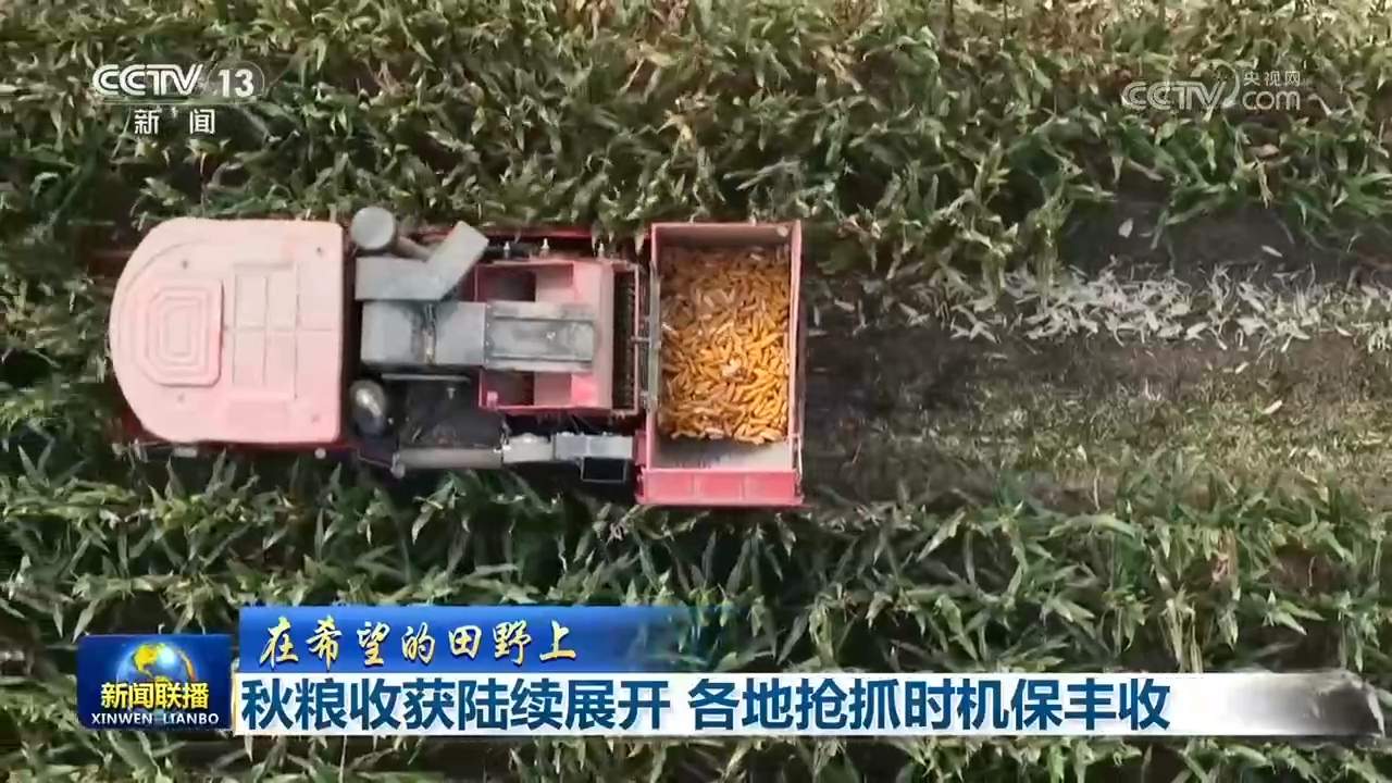 秋粮收获陆续展开 各地抢抓时机保丰收