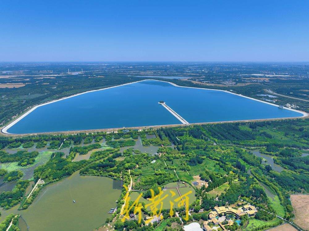 济西湿地盛夏好风光