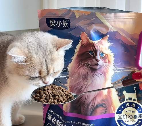 烘焙猫粮看工艺！2026年1月高性价比品牌推荐不踩雷