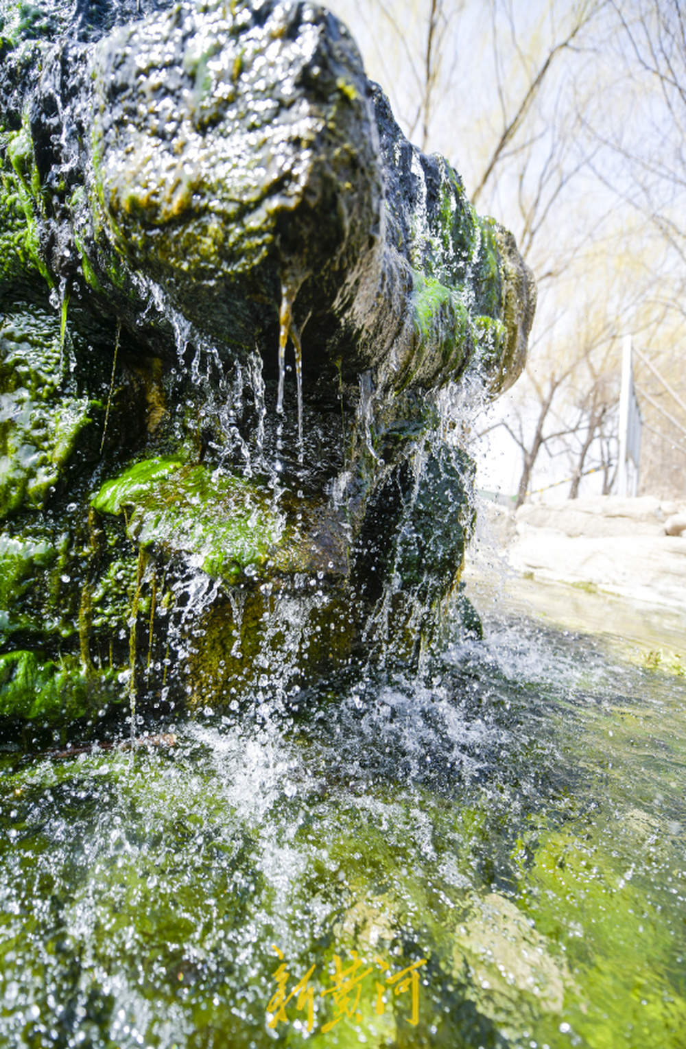 济南东站旁名泉提升 取水点形似“月牙飞瀑”