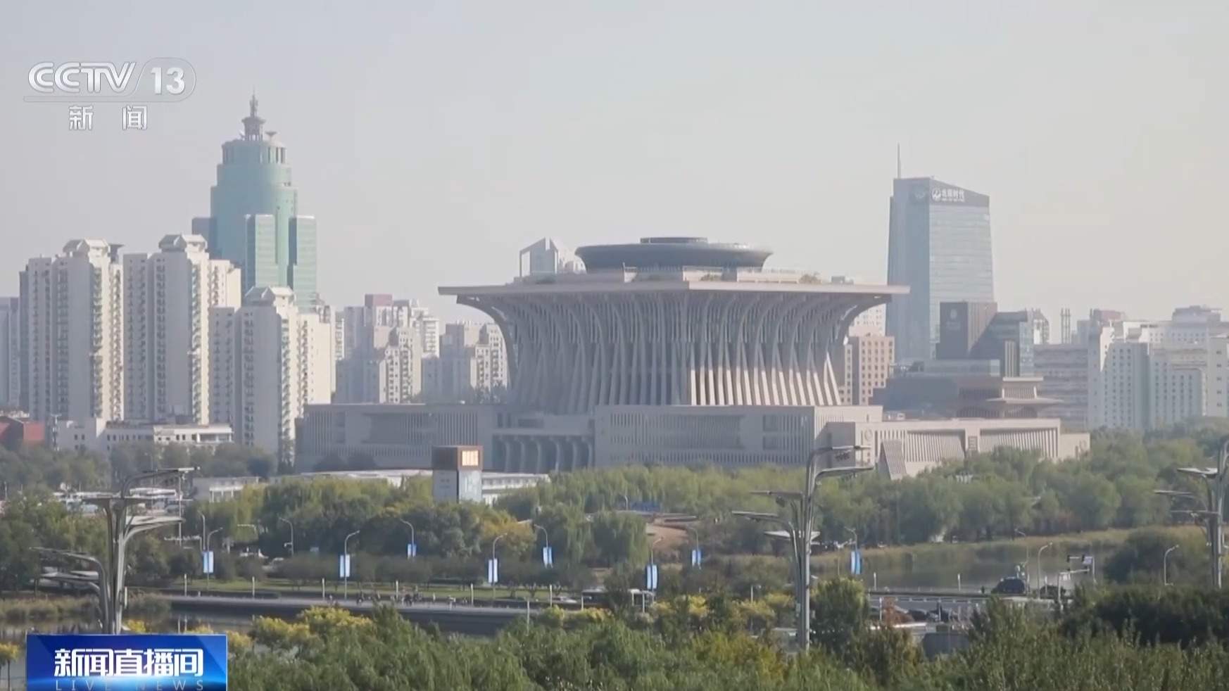 杨柳树为何飞絮？如何防范？专家解析