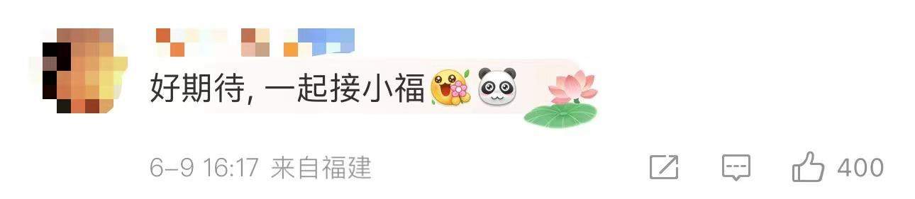 “福宝”即将和公众见面！还有这些“心上熊”可以相约