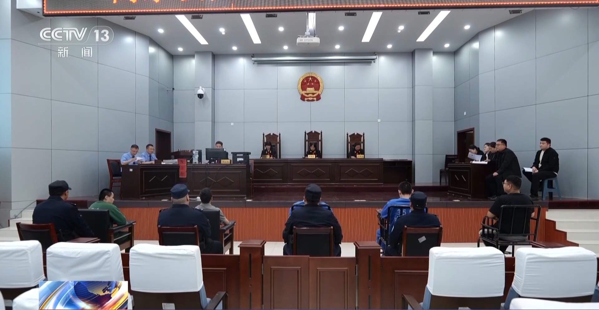 骗250万善款仅3000元用在狗身上 起底流浪动物网络救助骗局