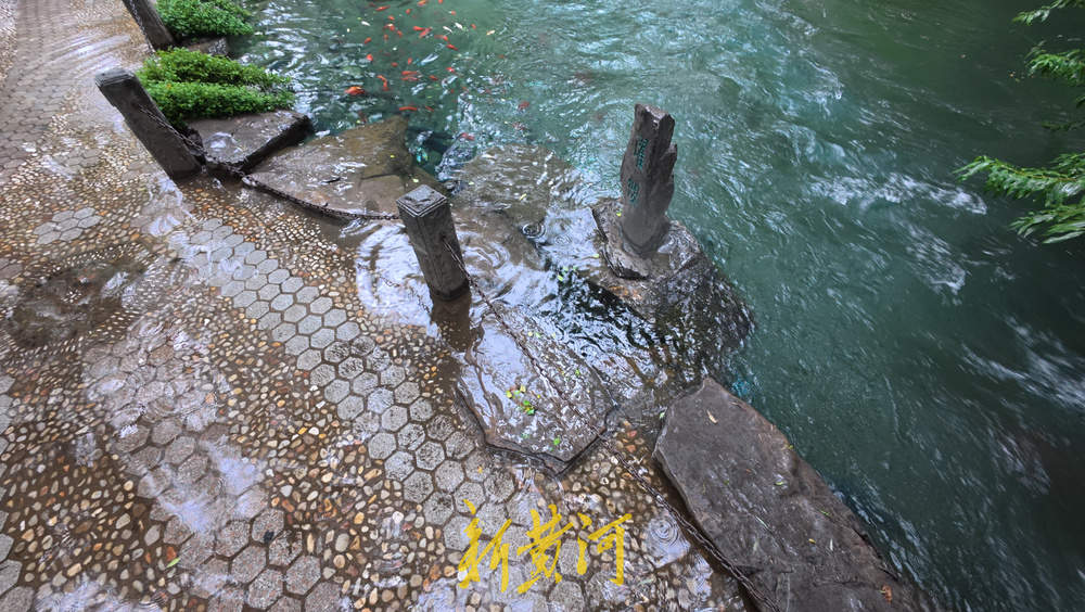 水位上涨泉水喷涌发力 溢出泉池涌入岸边路