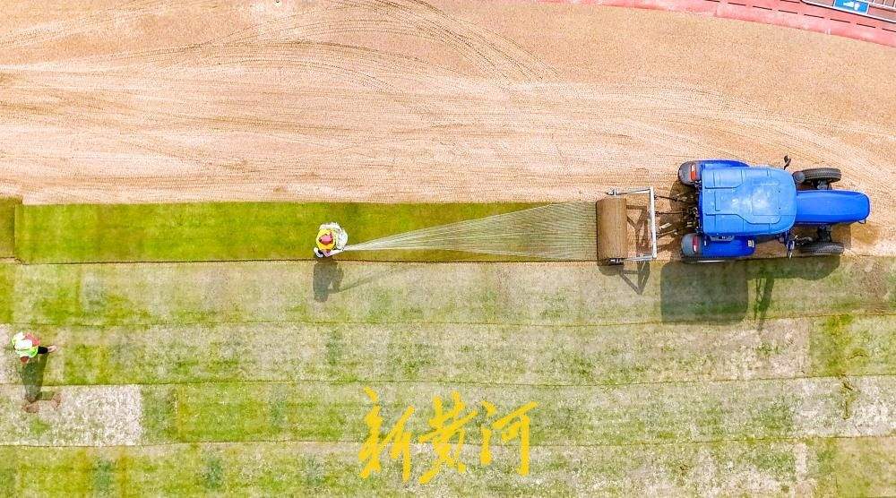 济南：省体育中心体育场草坪上新