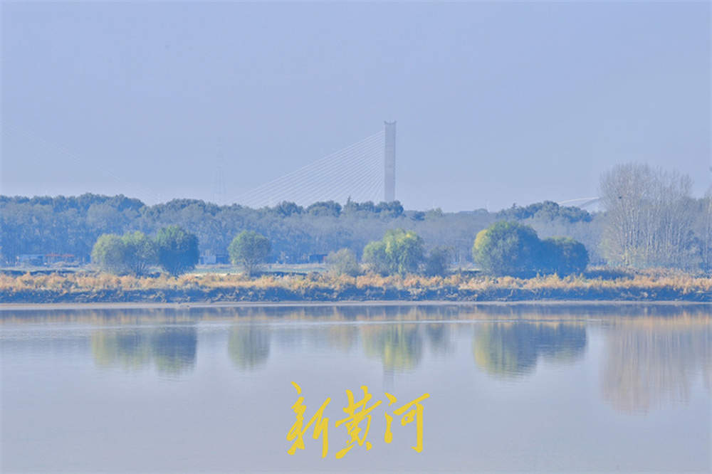 一年四季 泉在济南丨黄河倒影，别具诗意
