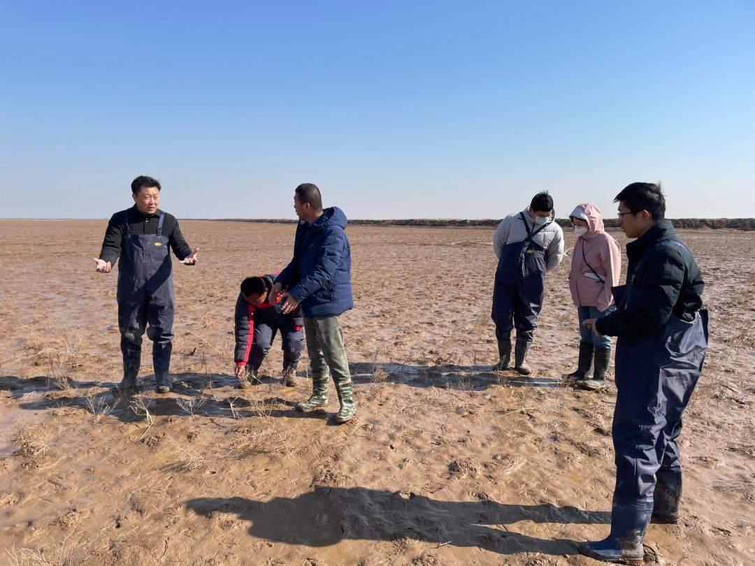 全国两会，山东代表团重点推介！东营“鸟浪”从刷屏热搜到生态金名片