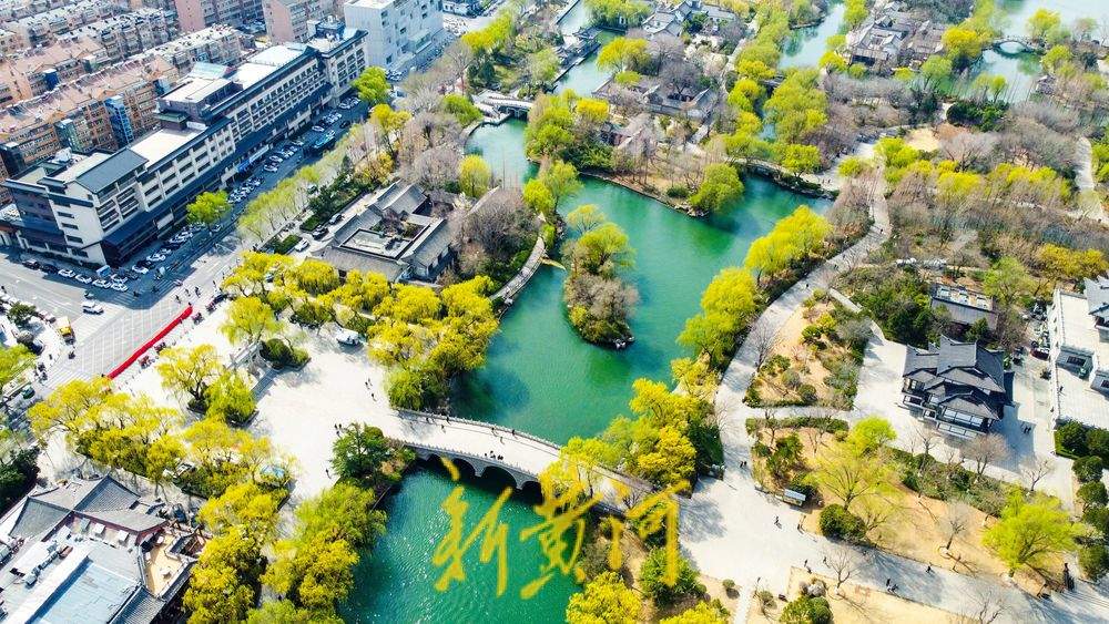 垂柳泛绿与碧水相伴，大明湖春色逐渐浓郁