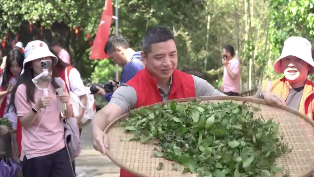 新华视点丨春日焕新景 产业促振兴