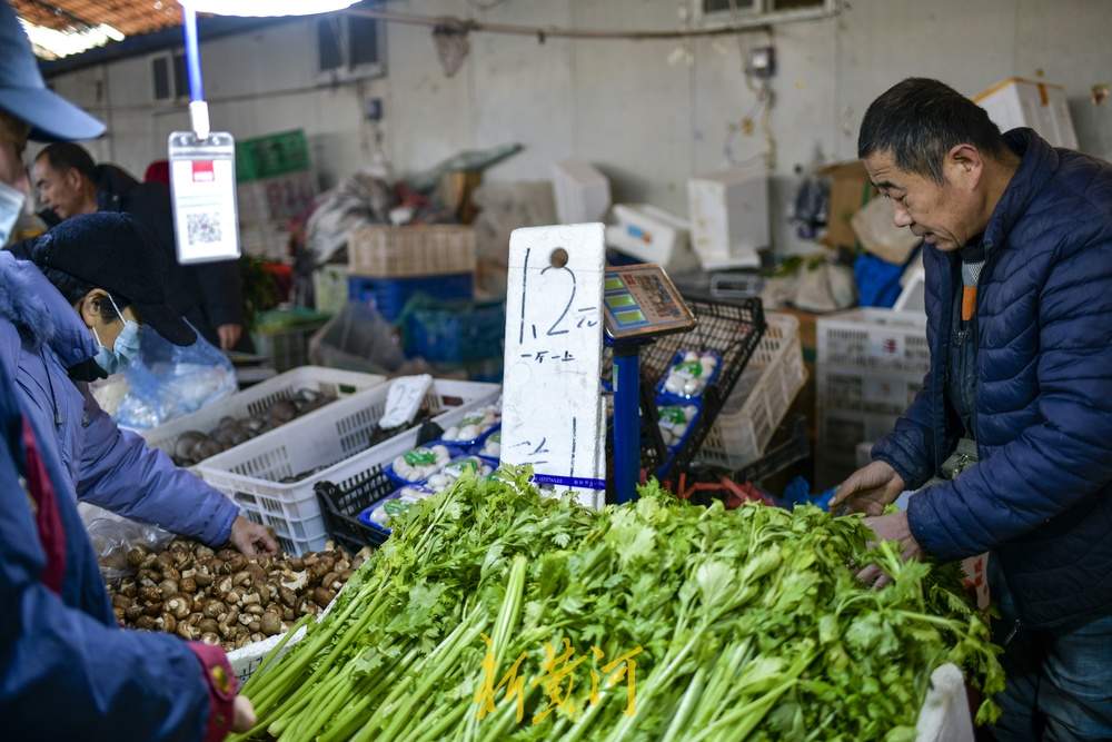 济南蔬菜供应充足价格回落