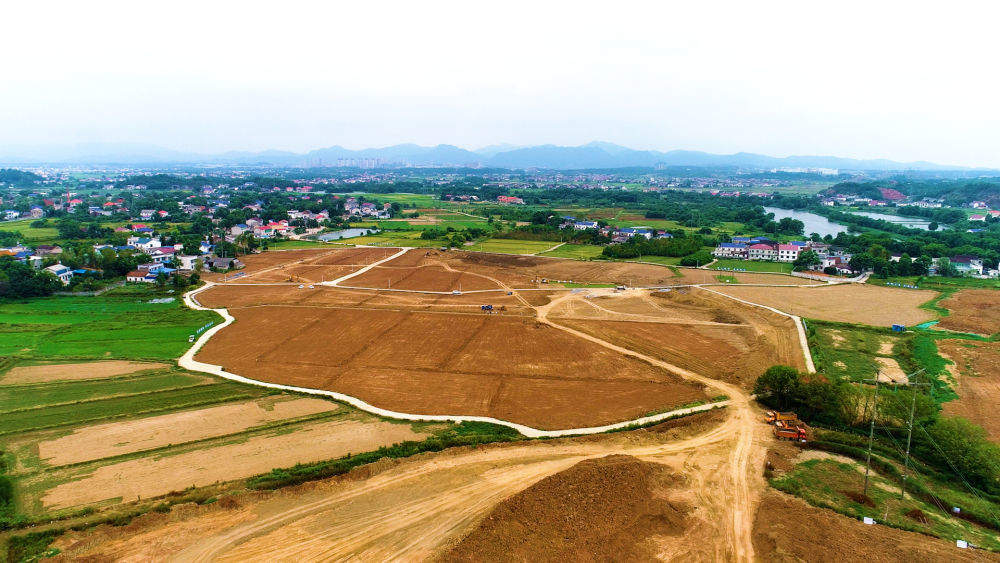 四中全会精神在基层