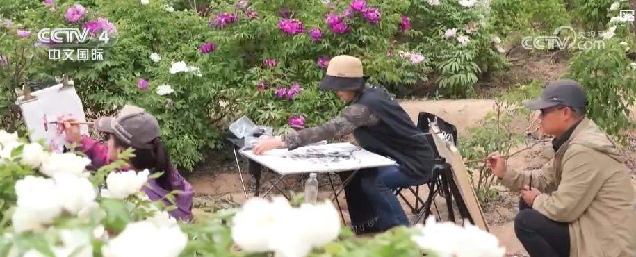 多地鲜花盛景引客来 赏花游催热“美丽经济”