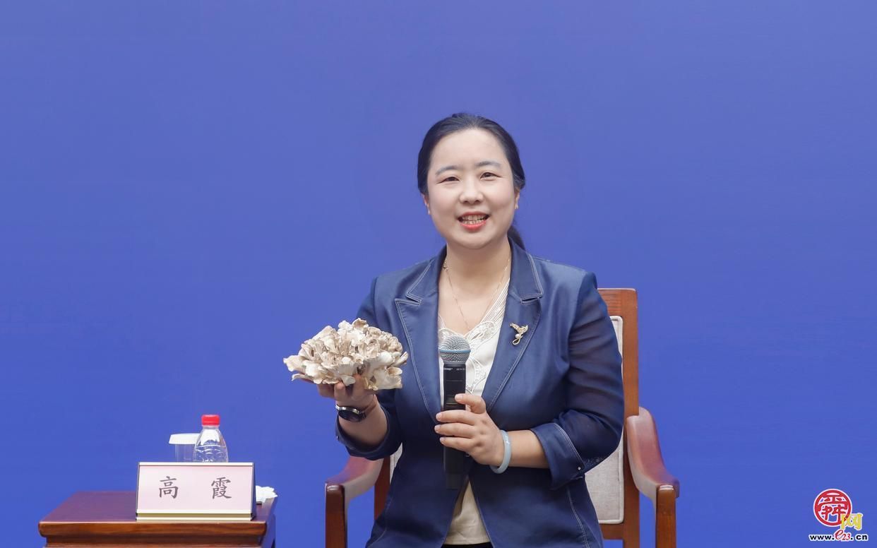 &ldquo;奋进‘十五五’科创赢未来&rdquo;&mdash;&mdash;食用菌创...
