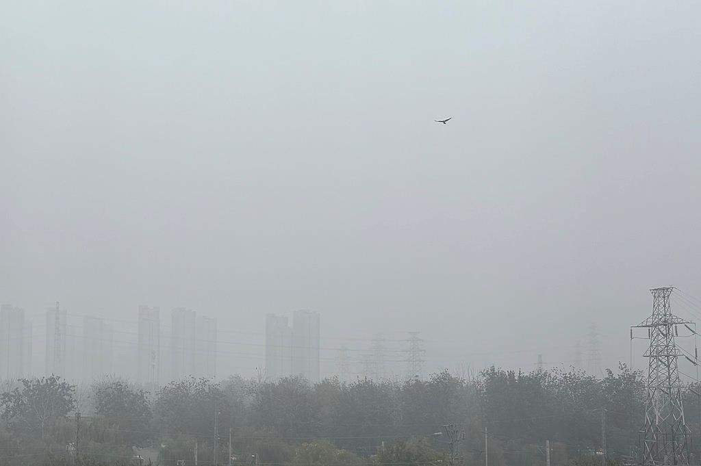 中央气象台继续发布大雾黄色预警,遇到“团雾”怎么办?