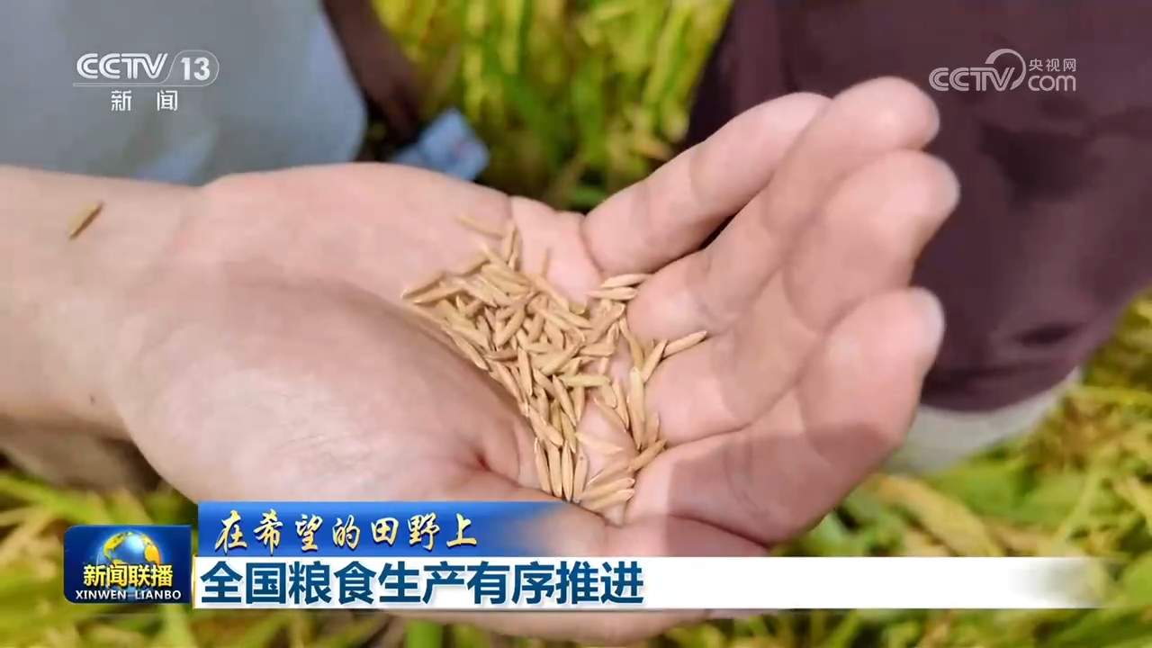 【在希望的田野上】全国粮食生产有序推进