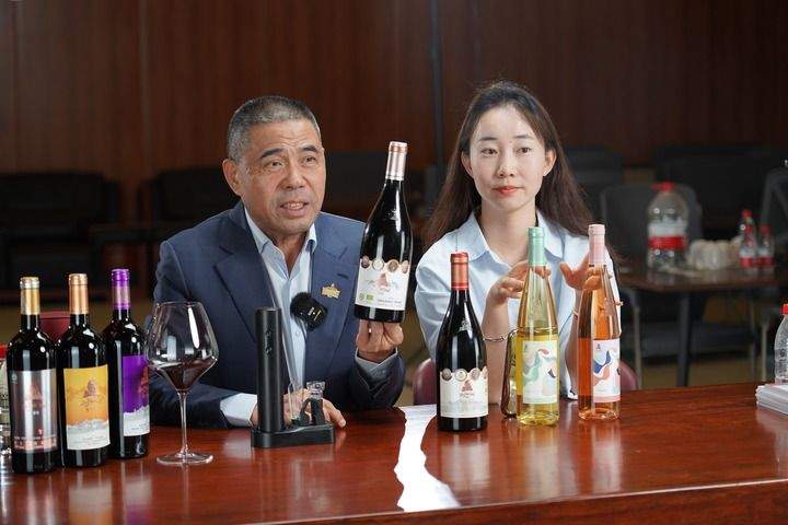 山海情深向未来