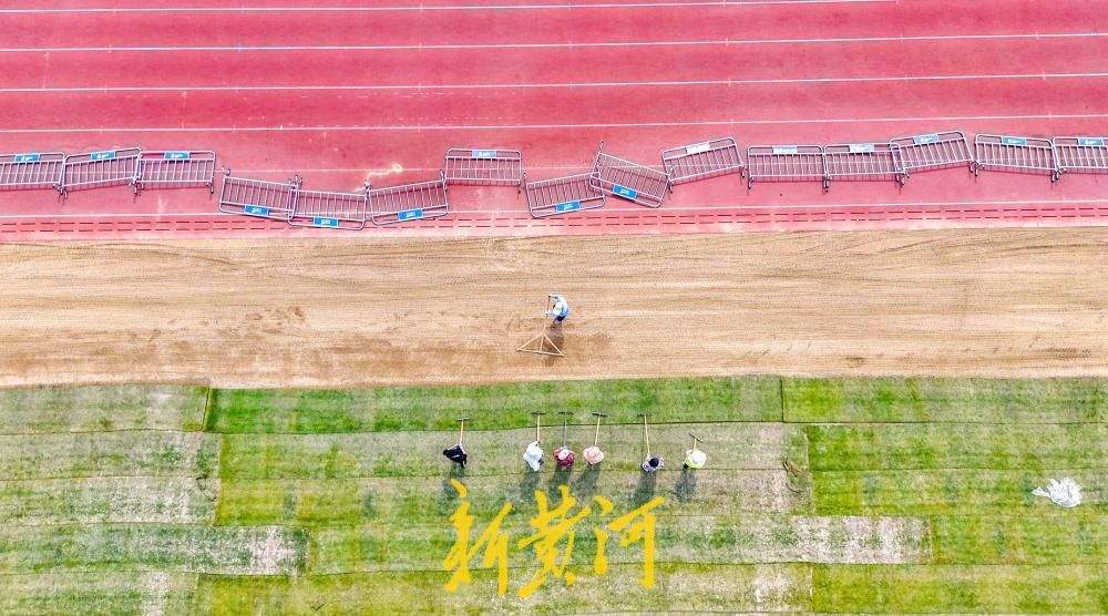 省体育中心体育场草坪上新