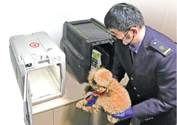 快递活体动物存风险：“萌宠”开箱状态成谜，谁之过？