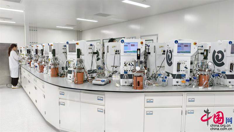 山东“冠军制造”实力出圈：大而全筑根基 精且尖拔头筹