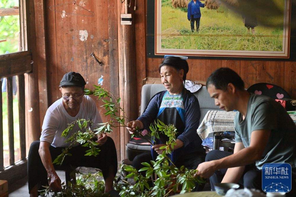 可爱的乡村——跨区域协作助深山苗寨产业发展