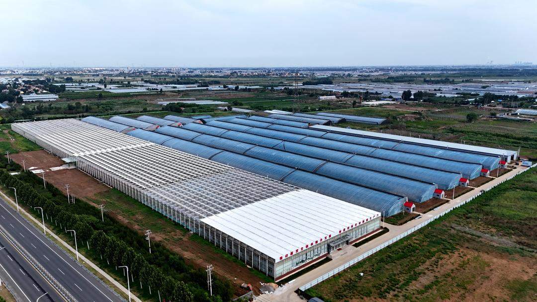 “潍”有向上之气！三文解码山东下个万亿之城