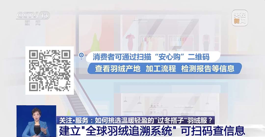 300元到底能不能买一件真羽绒服?