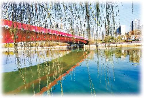 生态筑基五十年 美丽济南展新颜