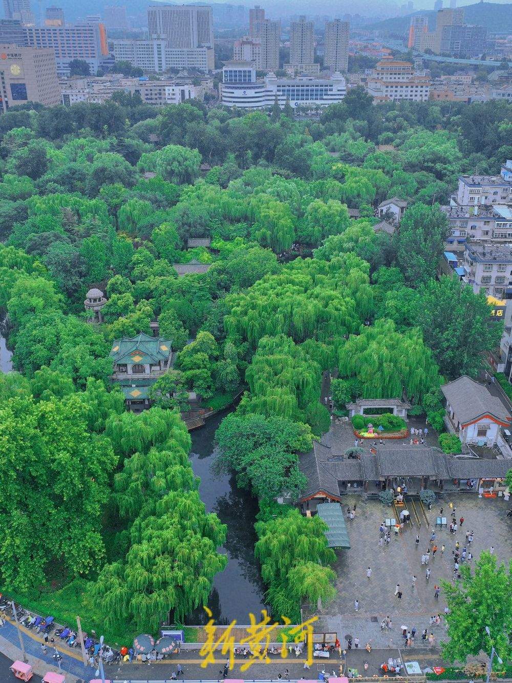 一年四季 泉在济南丨趵突泉雨后撒欢 漫步其中感受别样浪漫
