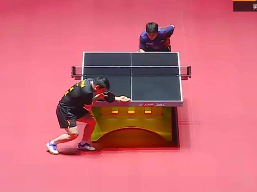 樊振东零封林诗栋 莎莎平野首搭女双！乒超第二阶段今日开赛