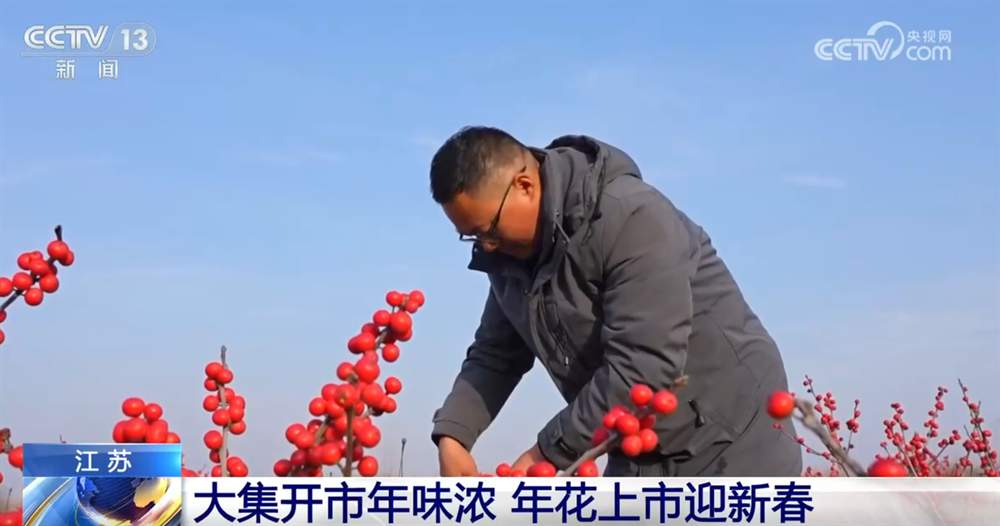 新春大集“红红火火”打造沉浸式年味场景 璀璨灯会流光溢彩“点亮”文化盛宴