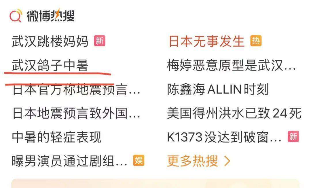 “武汉鸽子中暑”火上热搜！是鸽子吗？真热晕了？