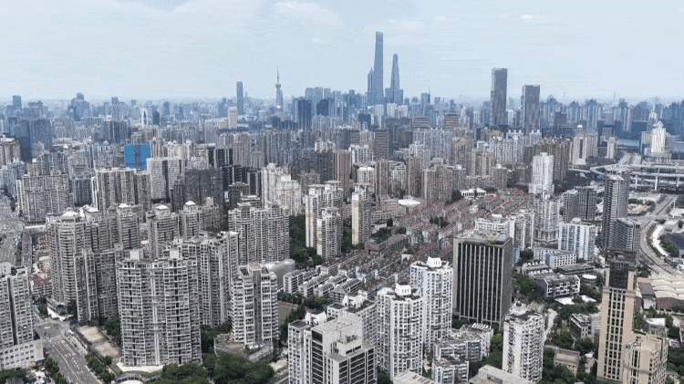 时政微纪录丨习近平总书记上海行