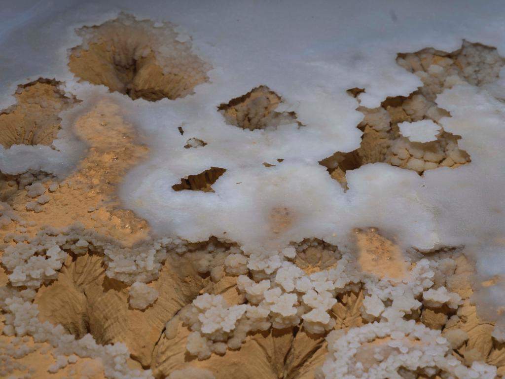 贵州遵义发现4.8亿年“地下水晶宫”