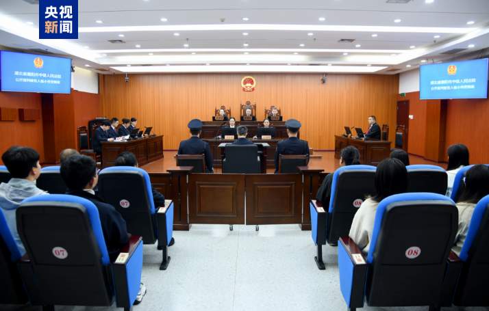 十四届全国政协教科卫体委员会原副主任杨小伟受贿案一审宣判