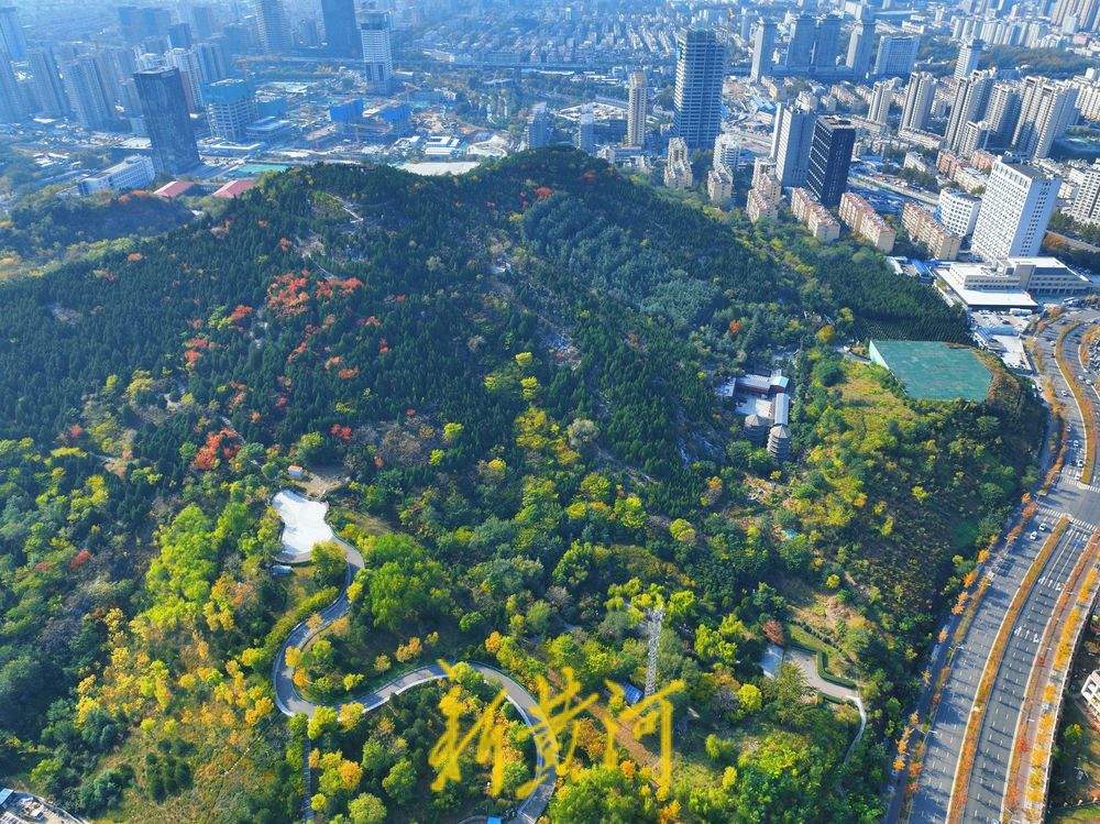 秋色烂漫 济南茂岭山公园层林尽染入画来
