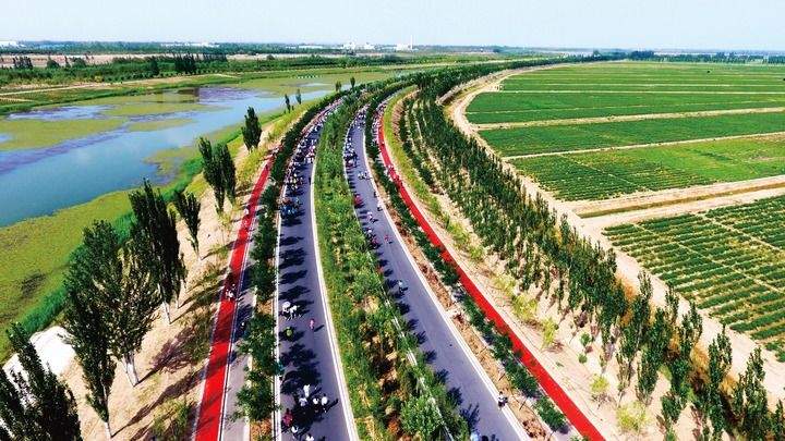 山海情深向未来