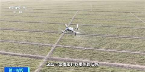 持续的寒潮对农业生产有何影响?应该如何应对?专家解读