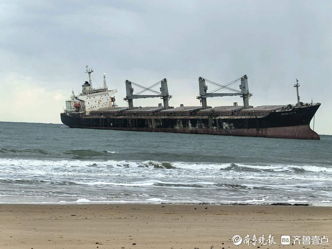 山东破题片区化:乡村“手拉手” 共富路“步步宽”