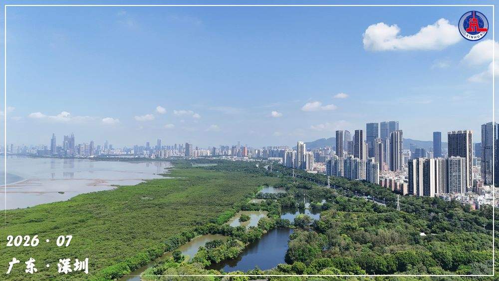 镜观·回响｜守护红树林 中国在行动