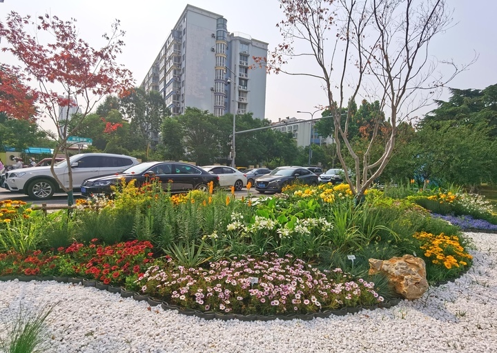此外,在阳光新路与建宁路路口,利用道路中央绿化带端头绿地打造的"