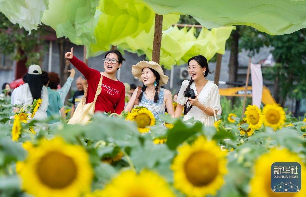 暑期出游正当时