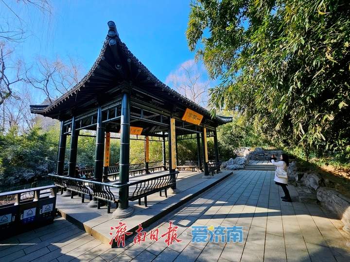 先暖后冷再回升！济南未来七天冷暖切换 除夕起逐步回暖