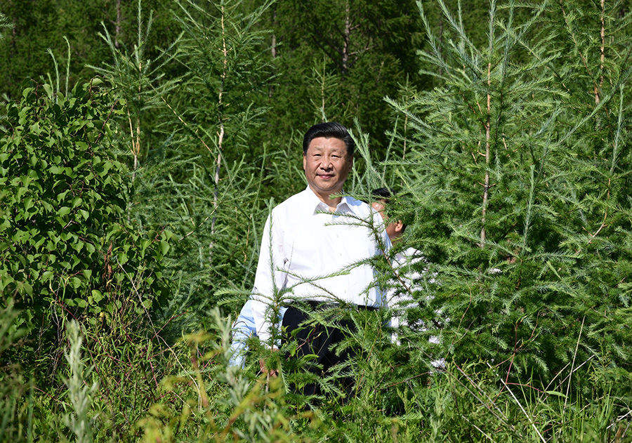 学习进行时｜“人不负青山，青山定不负人”