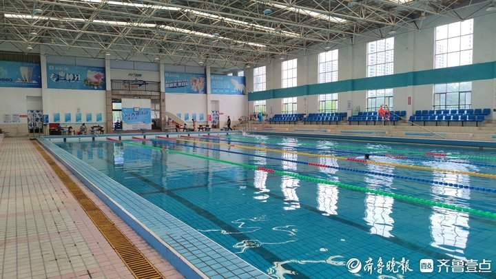 夏日觅清凉,暑期济南游泳场馆迎来“畅泳热”