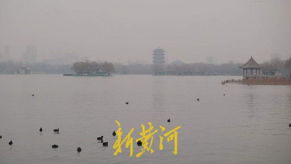 生态环境持续改善，多种候鸟在济南大明湖过“寒假”